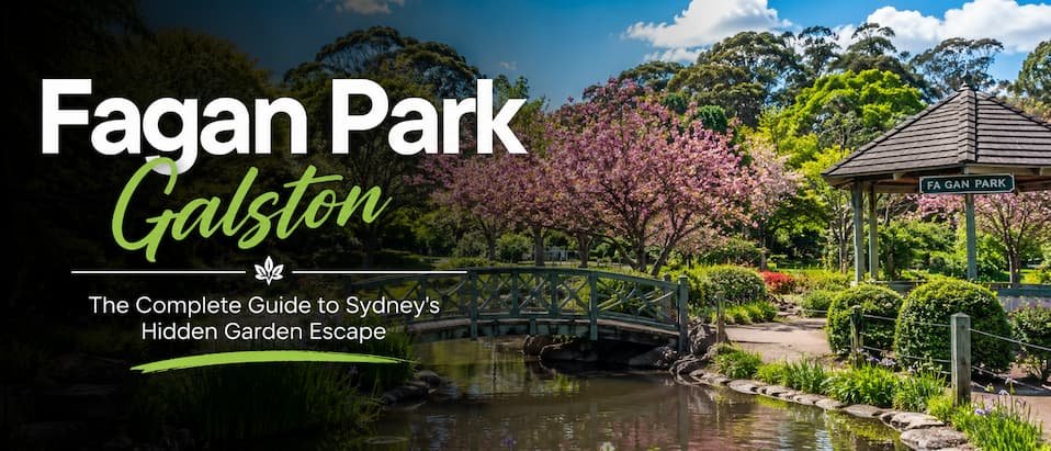 Fagan Park Galston: The Complete Guide to Sydney's Hidden Garden Escape