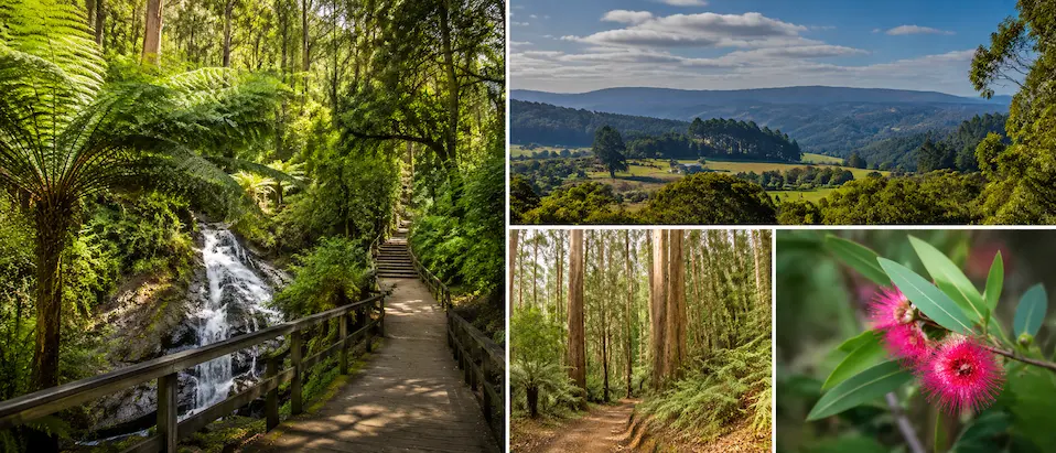 Monbulk Victoria Travel Guide