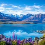 Welcome to Twizel: New Zealand's Hidden Gem